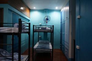 Cette chambre comprend 3 lits superposés et un mur bleu. dans l'établissement Peach Haven, à Cebu