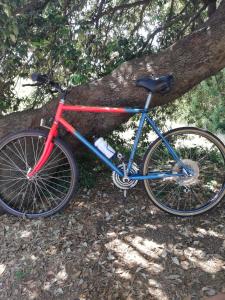 a red and blue bike parked next to a tree at SUARA Affitti - bike in Bibbona