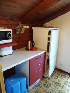 ピンツォーロにあるAppartamento Seppi Stile Trentinoのキッチン(電子レンジ、冷蔵庫付きのカウンター付)