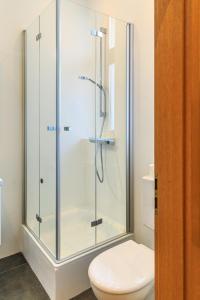 a glass shower in a bathroom with a toilet at Charming City Apartment with parking spot in Würzburg