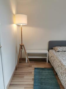 een kamer met een lamp, een bed en een tapijt bij Cosy Europarlament apartment in Brussel