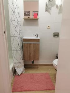 La salle de bains est pourvue d'un lavabo et de toilettes. dans l'établissement Cosy Europarlament apartment, à Bruxelles
