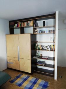 a book shelf with a cupboard and books at Room in maisonette with garden, parking place in Vienna