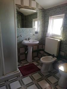 Ένα μπάνιο στο Pensiunea Mario +6 φωτογραφίες