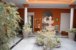 a courtyard with potted plants and a fountain at Casa Elizabeth in Palomares del Río