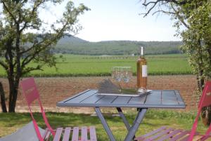 Rians的住宿－Le Pod de L'Adret，一张桌子、一瓶葡萄酒和两把椅子