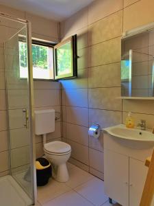 a bathroom with a toilet and a sink at Pensiunea Agnes in Durău