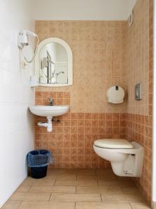 ein Badezimmer mit einem Waschbecken, einem WC und einem Spiegel in der Unterkunft Hotel Sun in Lwiw