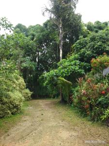Aed väljaspool majutusasutust Baan Suan Jantra Home Stay