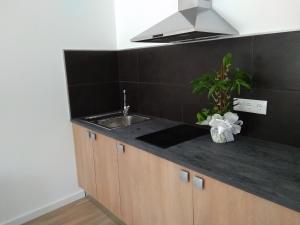 a kitchen with a sink and a counter top at Mustache Studio in Ourém