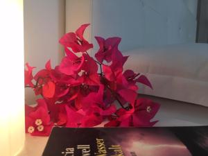 a bunch of red flowers sitting next to a book at Casa Mafalda B&B in Lipari