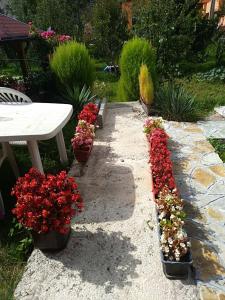 Jardín al aire libre en Apartment Beganovic-Centar