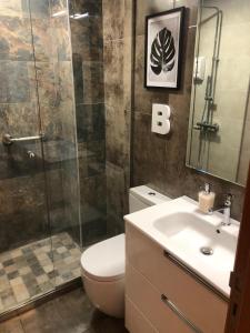 a bathroom with a toilet and a shower and a sink at La Laguna Luxe Apartment in La Laguna
