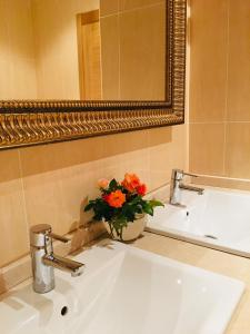 w łazience znajduje się umywalka z lustrem i waza kwiatów w obiekcie Hotel AV Apartamentos Lobios w mieście Lobios