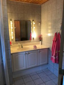 a bathroom with a sink and a mirror at Birkevej Rooms in Skagen