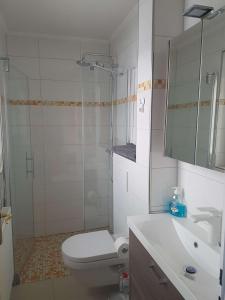 a bathroom with a toilet and a shower and a sink at Ferienhaus Noor und Meer in Maasholm