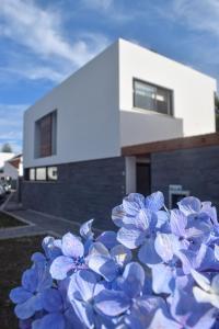 Un bouquet de fleurs bleues devant une maison dans l'établissement Casa Alivas, à Furnas