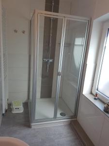 La salle de bains est pourvue d'une douche avec une porte en verre. dans l'établissement Wohnung "Flügge", à Bannesdorf