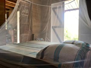 a bed with a canopy in a room with a window at Villa Figues et Mangos in Terre-de-Haut