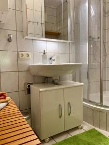 y baño con lavabo y ducha. en Ferienwohnung am Trausdorfberg - Rosenblick, en Goggitsch in Steiermark