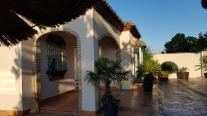 una casa blanca con palmeras en el patio en El chalet del Mar, en Chiclana de la Frontera