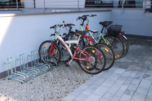 Jazda na bicykli v okolí ubytovania Apartament Mariva B03 z ogródkiem - Pobierowo - blisko morza - przy kompleksie Grand Laola SPA