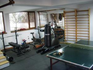 Fitness centrum a/nebo fitness zařízení v ubytování Rahoff hotel