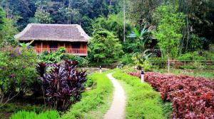 a path leading to a house in a garden with flowers at Panhou Retreat in Ha Giang