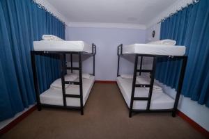 Postelja oz. postelje v sobi nastanitve Gaurishankar Backpackers hostel