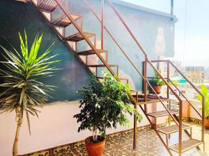 Mynd úr myndasafni af Backyard Hotel í Kathmandu