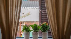 Fotografie z fotogalerie ubytování B&B Longobardi v destinaci Trani