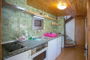 A kitchen or kitchenette at Vacation Home Selo Boykovets