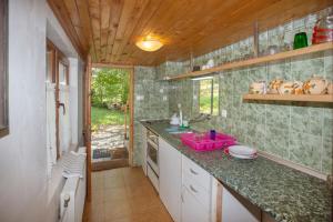 A kitchen or kitchenette at Vacation Home Selo Boykovets