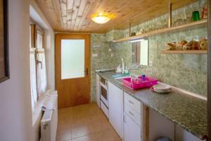 A kitchen or kitchenette at Vacation Home Selo Boykovets