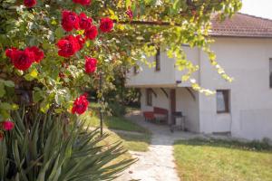 A garden outside Vacation Home Selo Boykovets