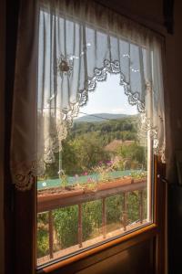 Táj Show holiday homes közelében