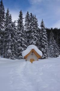 Obiekt Appartementhaus Speckalm zimą