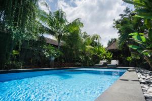 a swimming pool in front of a house with palm trees at Vande Guest House in Canggu