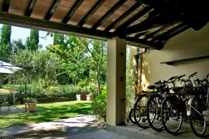 Jazda na bicykli v okolí ubytovania La Martellina B&B