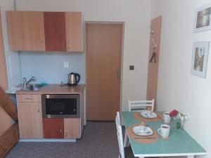 Kuchyň nebo kuchyňský kout v ubytování Apartmány F-M