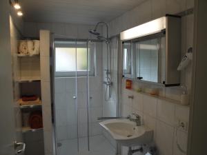 uma casa de banho com um chuveiro e um lavatório. em Spatzennest em Heiligkreuzsteinach
