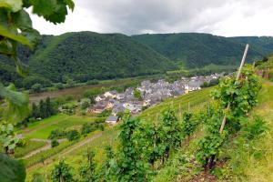 Galeriebild der Unterkunft Wein- und Gästehaus M. Bai in Mesenich