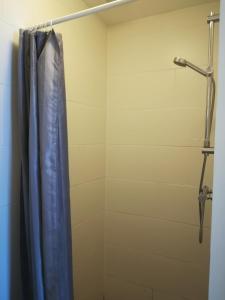een douche met een blauw douchegordijn in de badkamer bij Luxe Studio Bovenweg in Rhenen