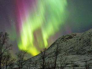 an aurora in the sky with snow and trees at 6 person holiday home in Kvalsund in Repparfjord