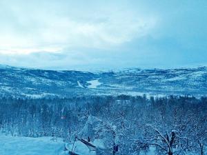 a view of a snow covered valley with a river at 6 person holiday home in Kvalsund in Repparfjord