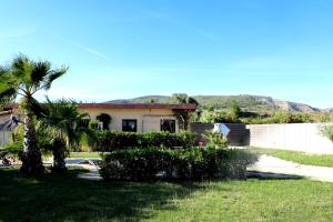a house with a palm tree in a yard at SVENNIISLAND® in Benicolet