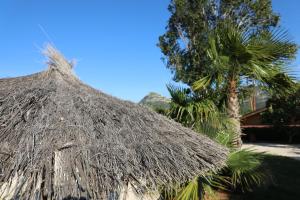 a straw hut sitting next to a palm tree at SVENNIISLAND® in Benicolet +19 photos