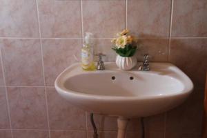 umywalkę w łazience z wazonem kwiatów w obiekcie Ntshe River Lodge w mieście Francistown