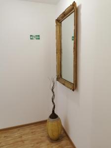 Fotografie z fotogalerie ubytování Radman's house v destinaci Niš + 27 fotografií