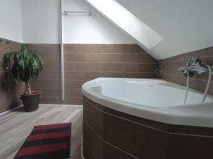 ein Badezimmer mit einem Waschbecken und einer Topfpflanze in der Unterkunft Durty Nelly's Pub in Prag